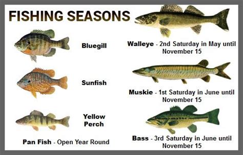 Tips on Catching Every Types of Fish on Every Lake .